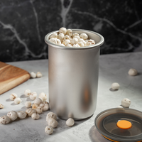 TAKISSO Premium Thermal Lock Stainless Steel Lunch Box Set of 1 (960ml)