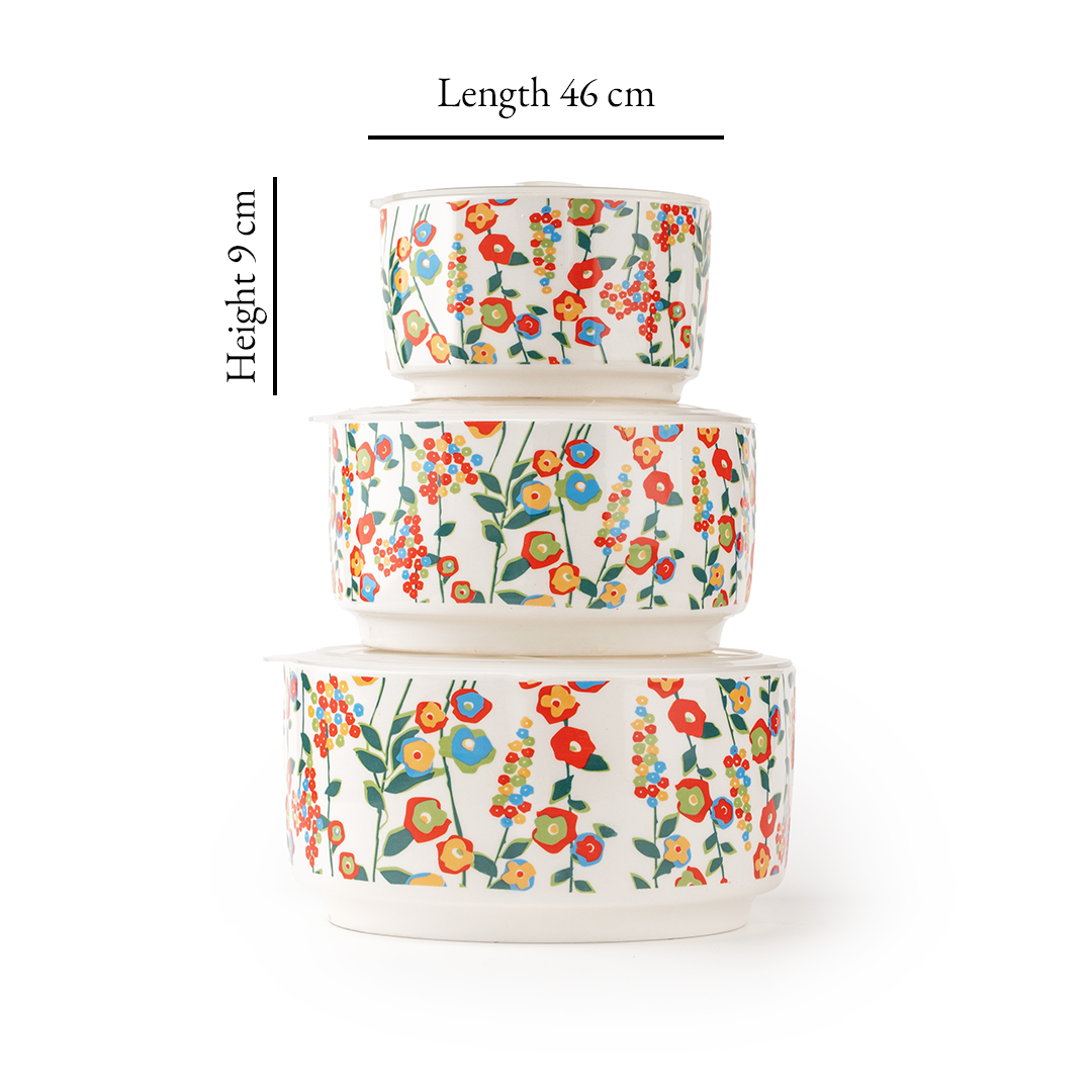 TAKISSO Bowls Food Storage Bowl with Lids (300ml, 600ml & 1000ml)
