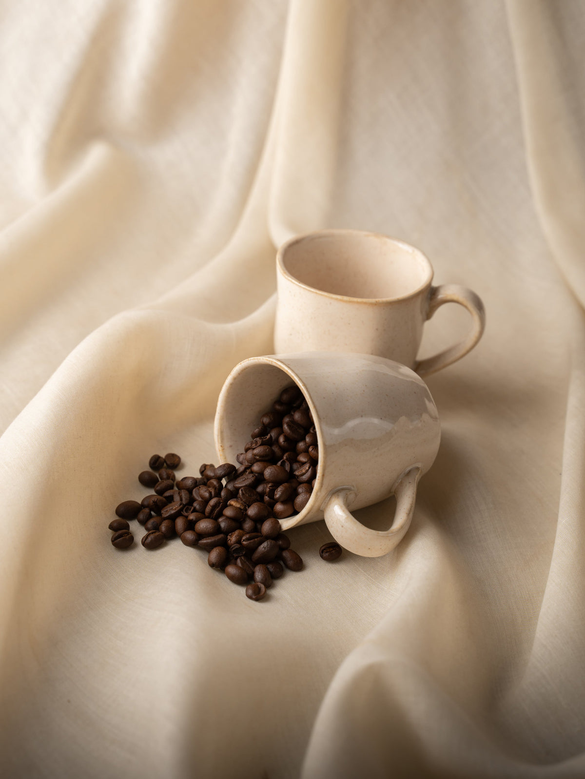 TAKISSO Porcelain Cup Set of 6