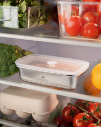 TAKISSO Rectangle - Flat - 600ml Microwave Safe Container (With Push-Pull Airtight Mechanism)